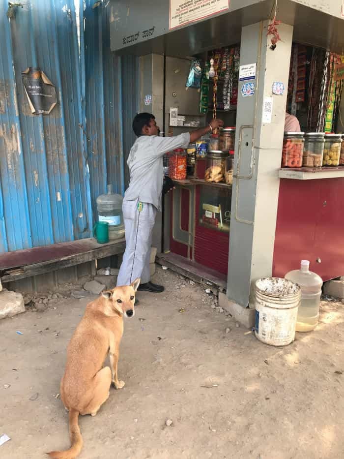 【紅茶大国インド】みんな大好きマサラチャイ！インドで飲める色々なお茶をざっくり紹介！