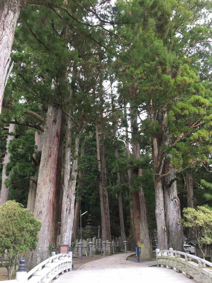 高野山、思い立ったら、ふらり、ひとり旅。