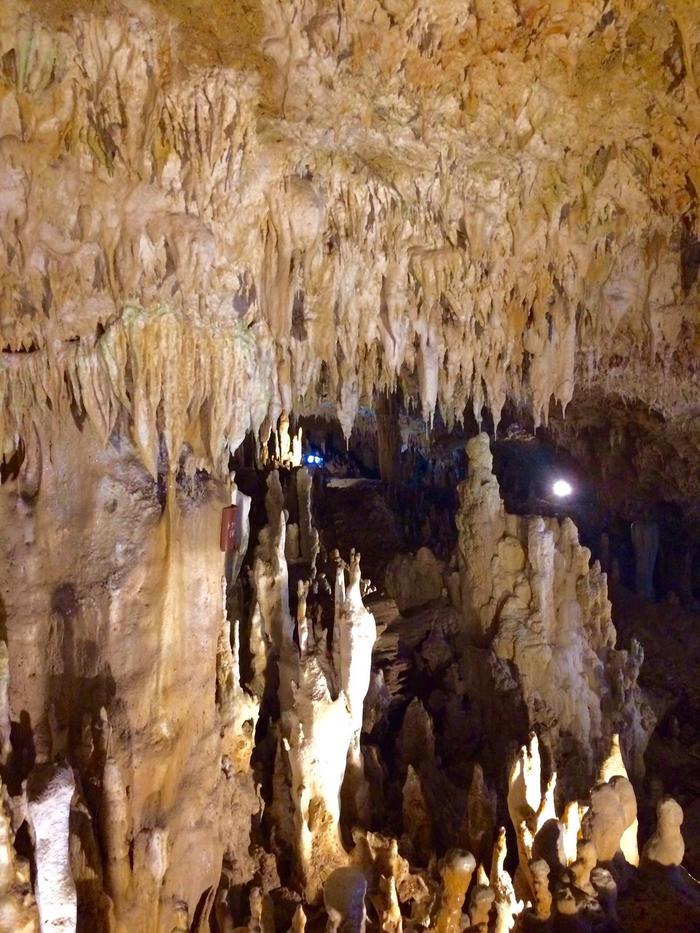 <石垣島編>おーりとーり♪沖縄県・八重山諸島の魅力をお届け♪