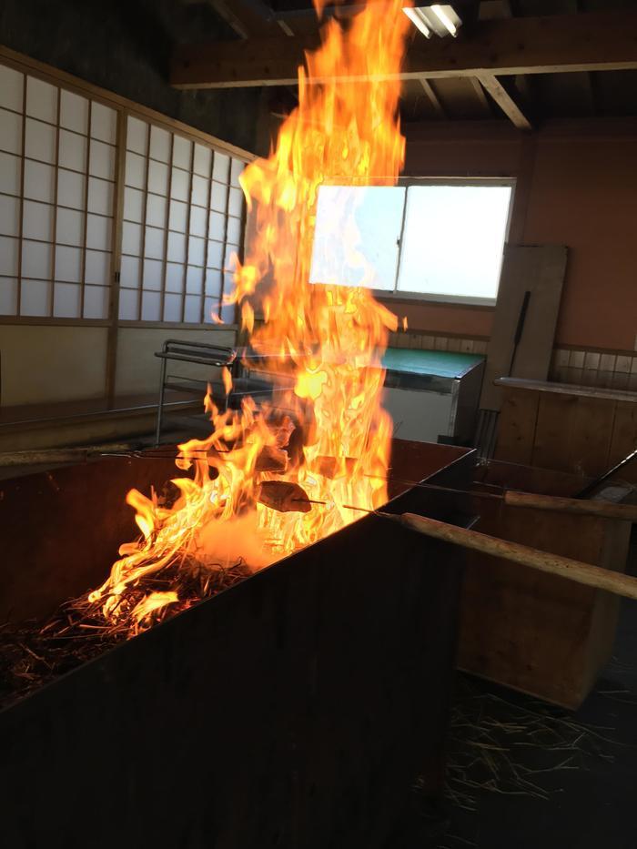 自分で焼いたカツオはうまいぜよ！高知でカツオのたたきの藁焼き体験！