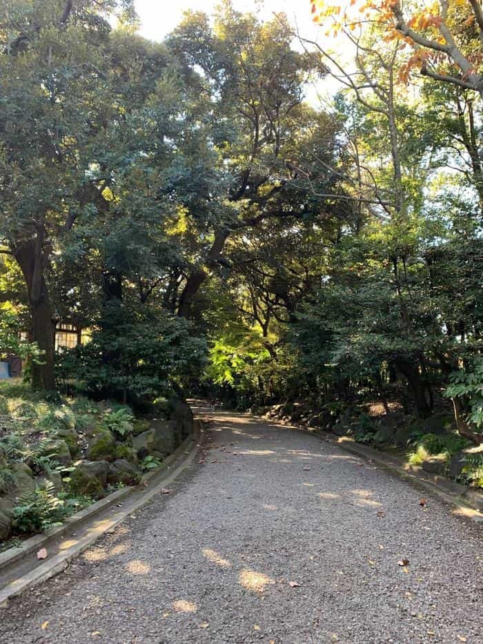 洋風と和風両方の庭園が楽しめる【旧古河庭園】秋バラ・紅葉もおすすめ！～東京さんぽ～