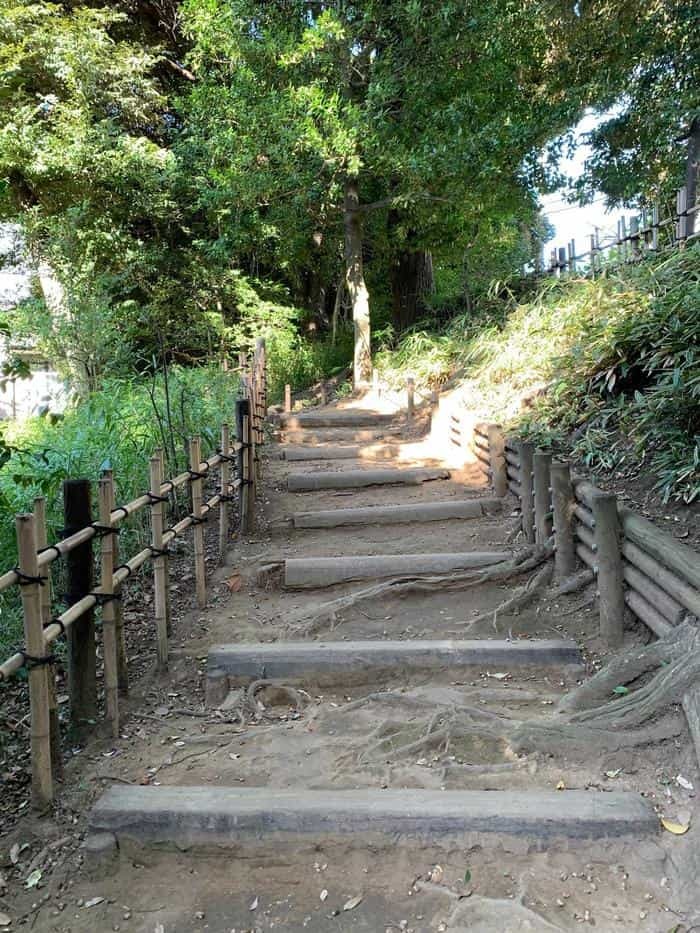 洋風と和風両方の庭園が楽しめる【旧古河庭園】秋バラ・紅葉もおすすめ！～東京さんぽ～