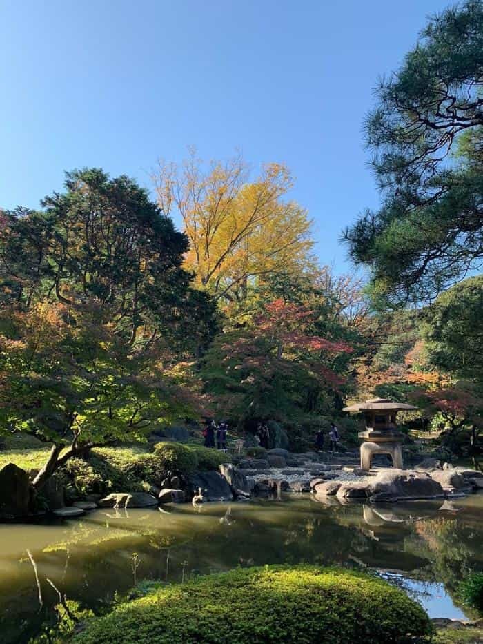 洋風と和風両方の庭園が楽しめる【旧古河庭園】秋バラ・紅葉もおすすめ！～東京さんぽ～