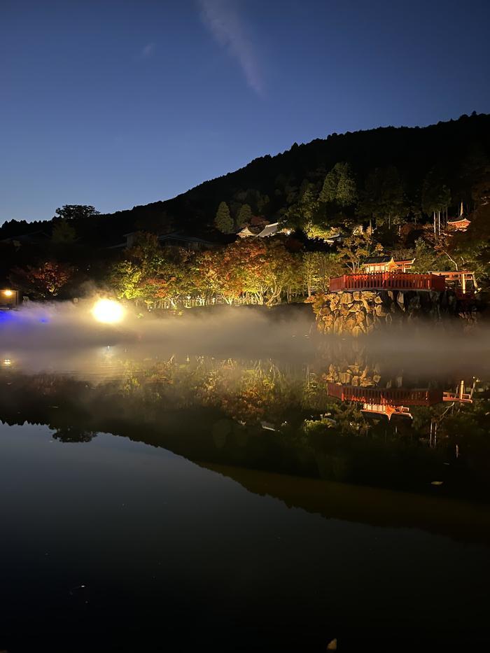 【大阪府】「この秋、私は渋滞知らず 勝尾寺紅葉シャトルバス」に乗ってみた！