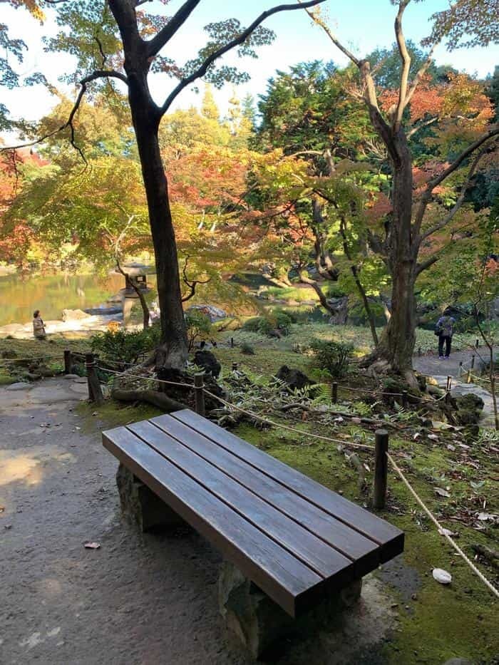 洋風と和風両方の庭園が楽しめる【旧古河庭園】秋バラ・紅葉もおすすめ！～東京さんぽ～