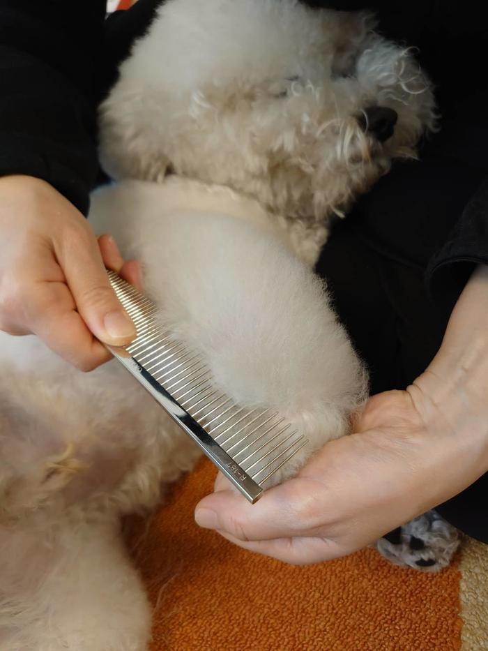 今だからこそ、愛犬のセルフトリミング！