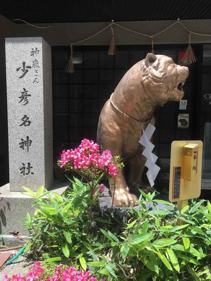 【大阪】こんな時こそ！疫病退散！少彦名神社へ行ってきました