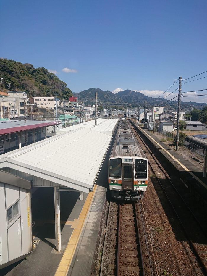 【静岡】至高のツナ缶と清水の絶品刺身定食、そして静岡駅周辺のみどころを紹介