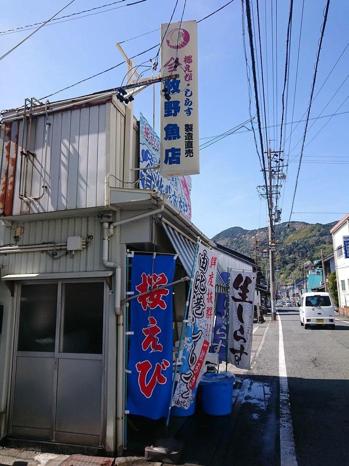 【静岡】至高のツナ缶と清水の絶品刺身定食、そして静岡駅周辺のみどころを紹介