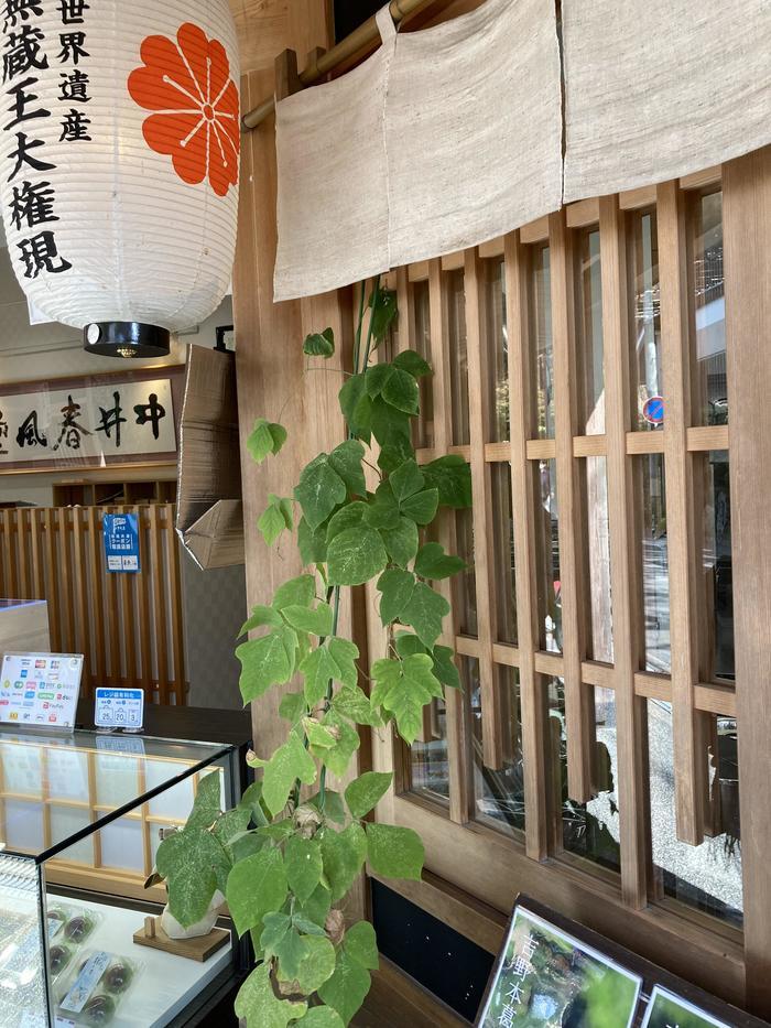 【奈良】10分は一瞬？永遠？吉野のきらつるっ！吉野本葛を食べてみませんか？