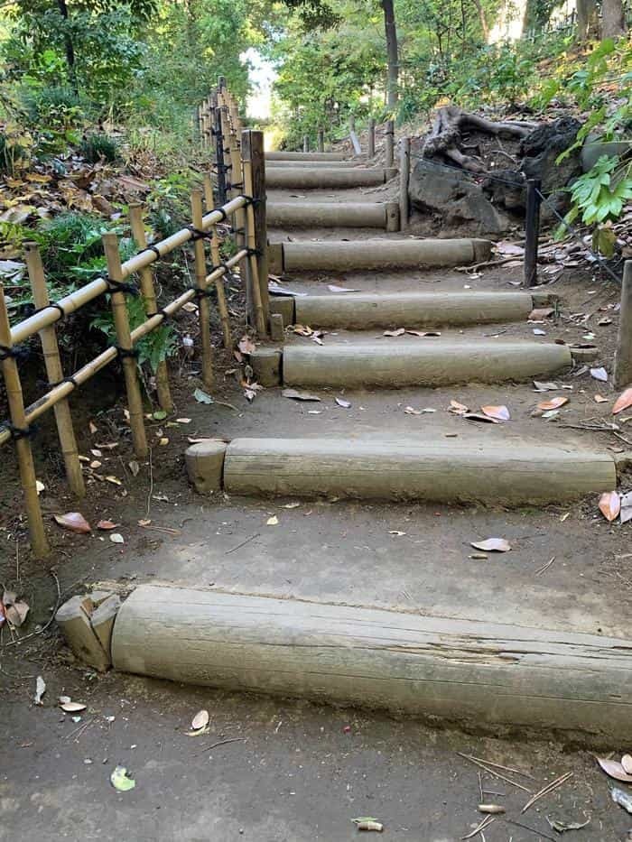 洋風と和風両方の庭園が楽しめる【旧古河庭園】秋バラ・紅葉もおすすめ！～東京さんぽ～