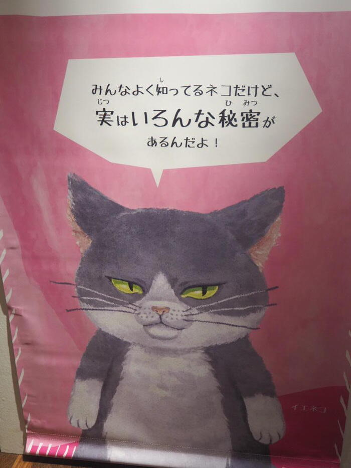 もっと知りたくなる！？バラエティでマニアックな特別展「ネコ」現在大阪開催中！