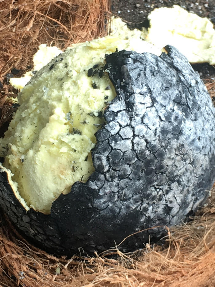 タヒチの台所に欠かせない2つの食材「ココナッツとウル」
