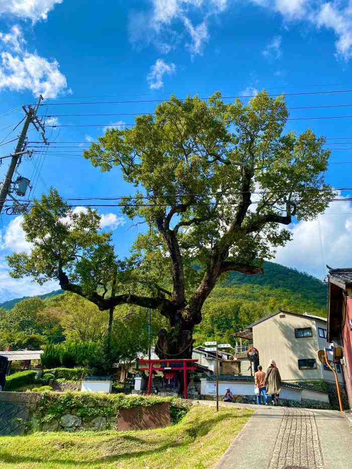 【2021年】兵庫県丹波篠山市の「丹波立杭焼」の窯元めぐり！