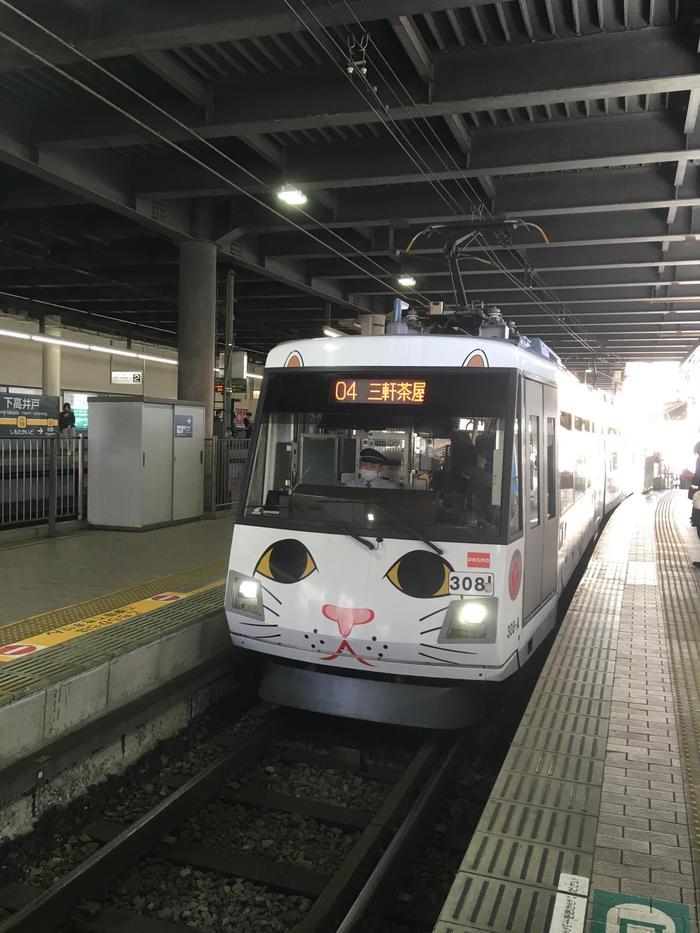 路面電車「世田谷線」で巡る！招き猫のお寺で招福祈願と幕末歴史散歩