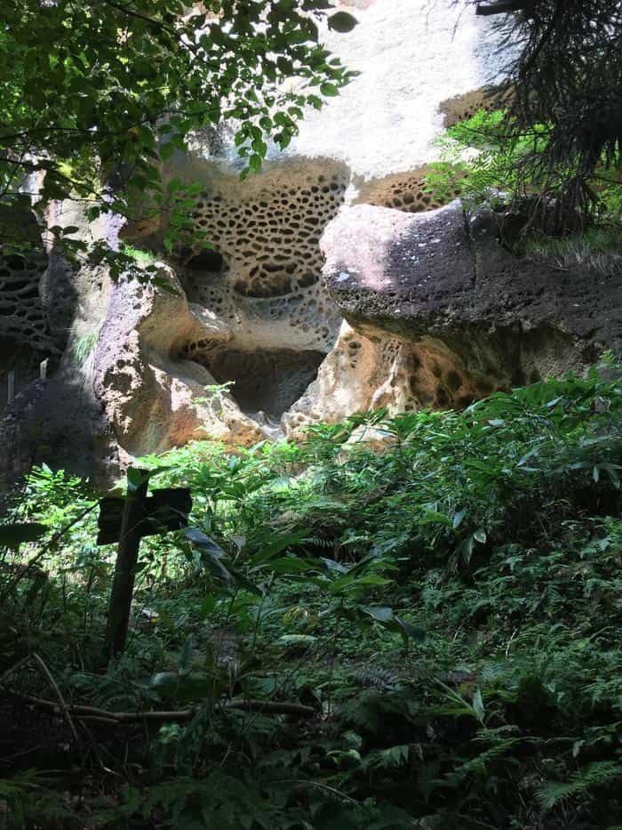 【山形】裏山寺！パワースポット峯の浦（垂水遺跡）を歩く