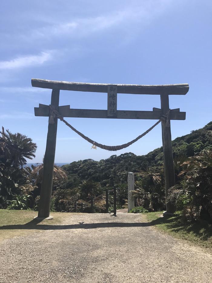 野生の馬が間近で見られる！御崎馬の親子に会いに、宮崎県串間市にある都井岬へ