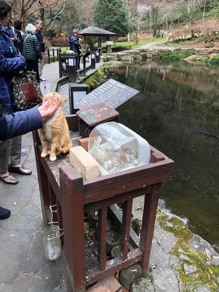 高千穂峡に青島神社！宮崎のパワースポットを巡って来ました！