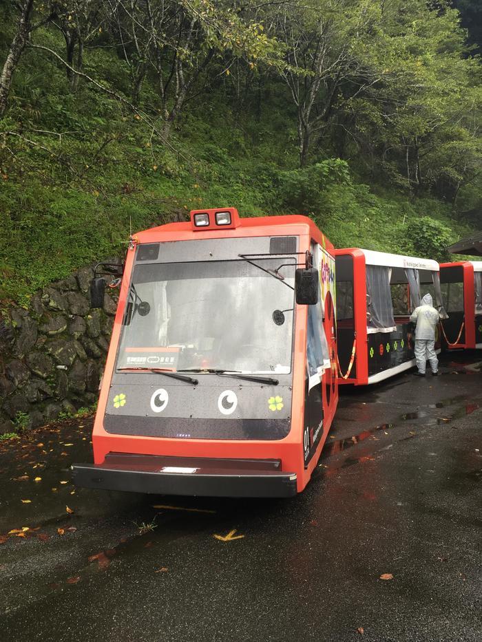 山口県で走る「とことこトレイン」で幻想的な世界を堪能