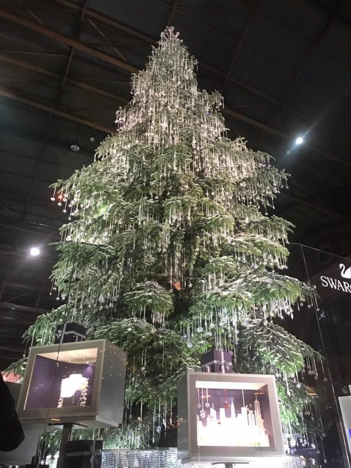 クリスマスシーズン！光のカーテンに彩られた街、チューリッヒへ！