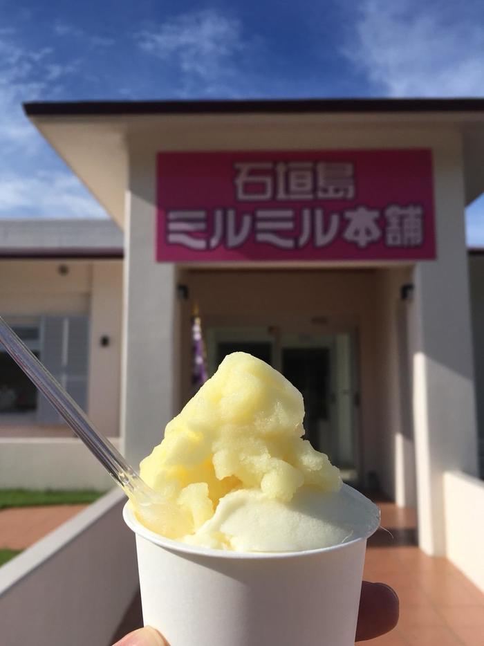 沖縄・八重山諸島を巡る大満喫の旅！