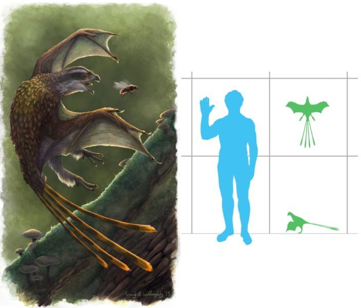 ざんねんな進化？ 翼を獲得したのに”飛ぶのが下手すぎて絶滅”してしまった2種の恐竜