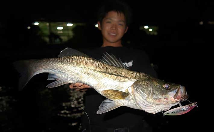 釣り人的「栄養バランス食」：シーバスの白味噌ホイル焼き定食