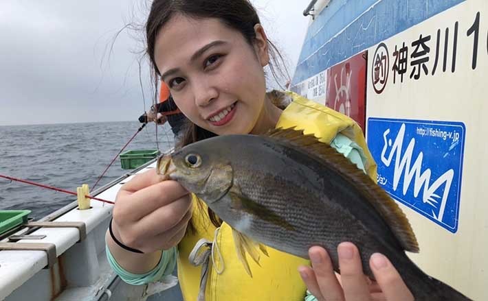 今週の『船釣り情報』特選釣果　良型交じり【梅雨イサキ】に熱視線