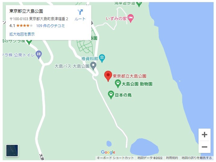 世界が認めた椿大国！冬の島旅は【伊豆大島】へいこう