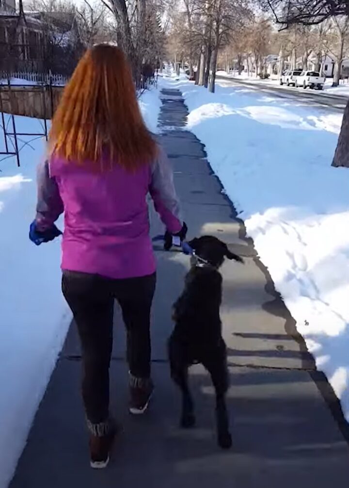 まるでカンガルー？おさんぽ中の愛犬がピョン！もう一度ピョンっとジャンプ！！