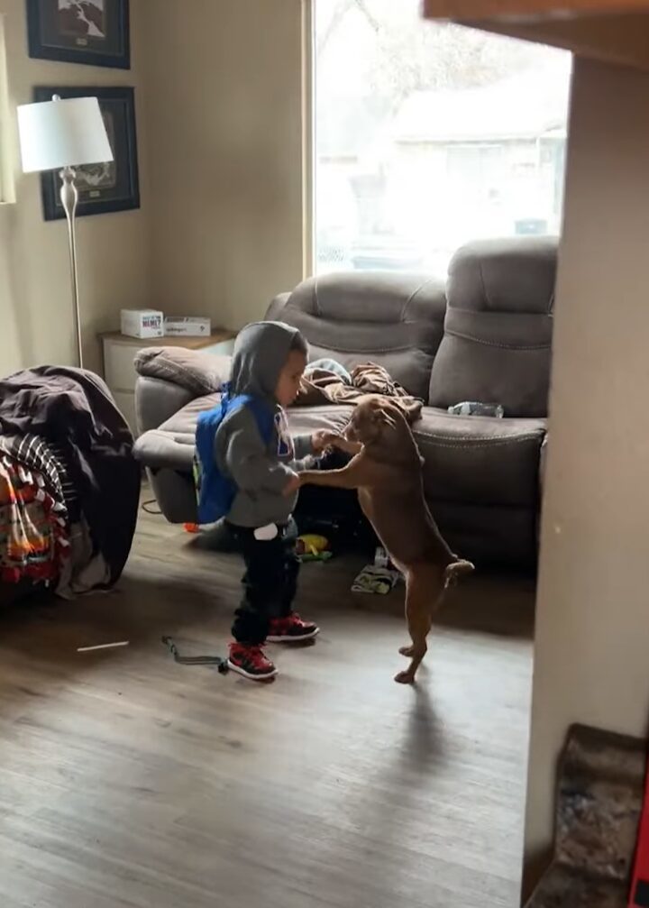 ふたりはとっても仲良し！男の子と子犬のダンス！！【アメリカ・動画】