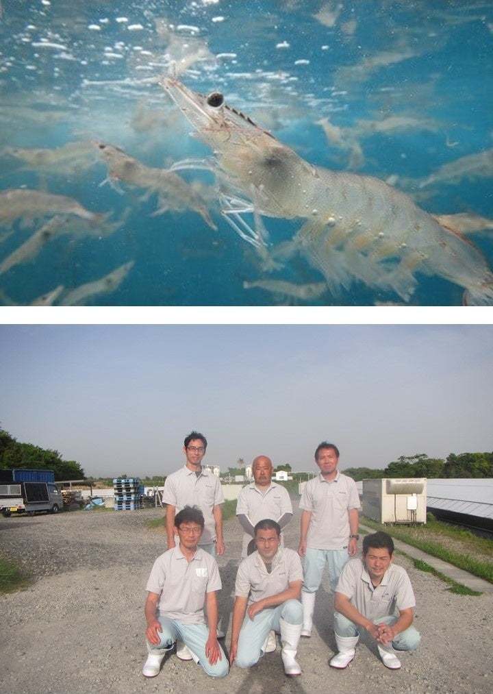 鳥貴族初、魚介にスポットを当てた期間限定メニュー「日本の一次産業感謝!応援メニュー」第二弾「漁業」6月8日提供開始