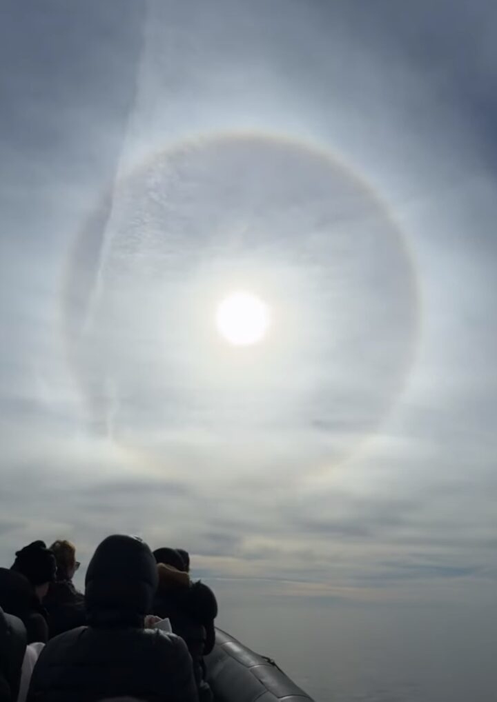 大海原で見た絶景!船の進む先にある太陽に見事な日暈が!!【アメリカ・動画】