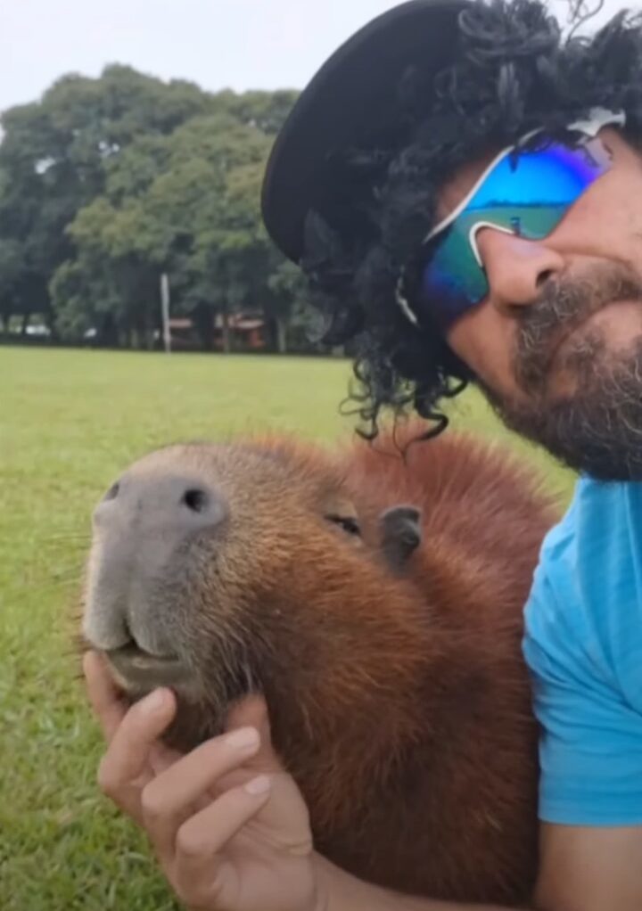 カピバラをなでなで。すっかり懐いているようですが・・、ふたりは公園で出会ったばかり！！【海外・動画】