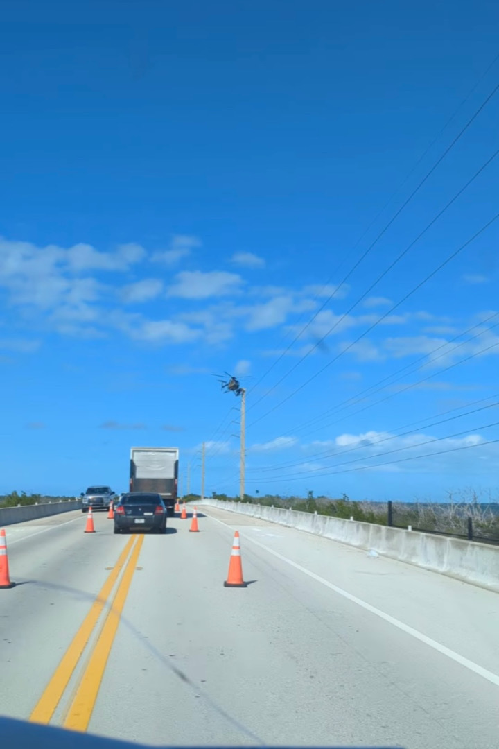 道路の上空でヘリコプターがホバリングしていると思ったら・・・、なんと機体を足場にして電線のメンテナンスをしている人がいたのです！！