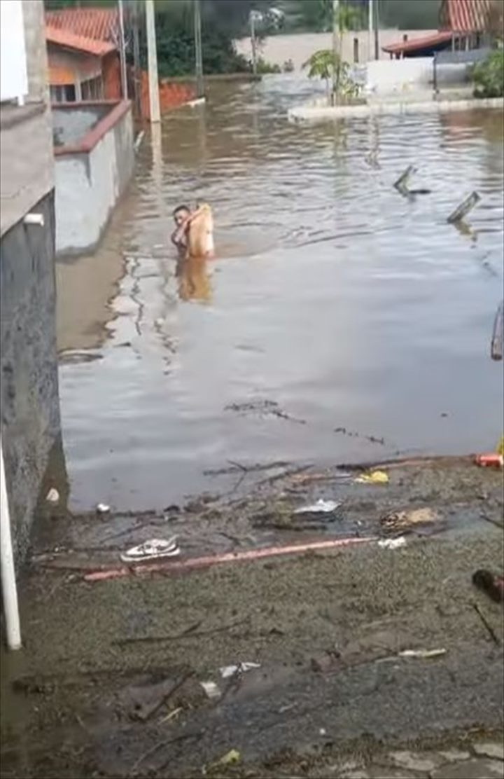 洪水に巻き込まれ、犬が立ち往生している！首までつかる水位がある中、男性がこの犬を助けるため勇気ある行動を取りました！！【海外・動画】