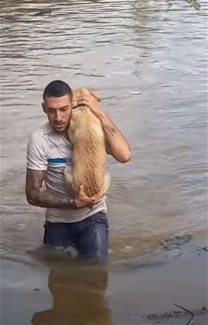 洪水に巻き込まれ、犬が立ち往生している！首までつかる水位がある中、男性がこの犬を助けるため勇気ある行動を取りました！！【海外・動画】