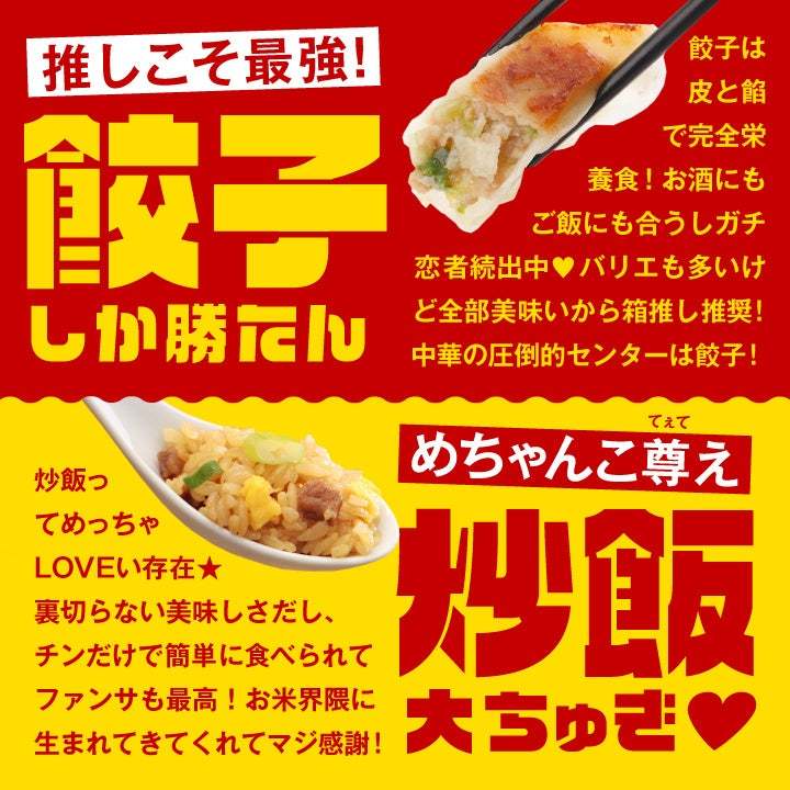 大阪王将公式通販・全国統一大選挙！「餃子しか勝たん」VS「炒飯大ちゅき♡」特別セット限定発売！