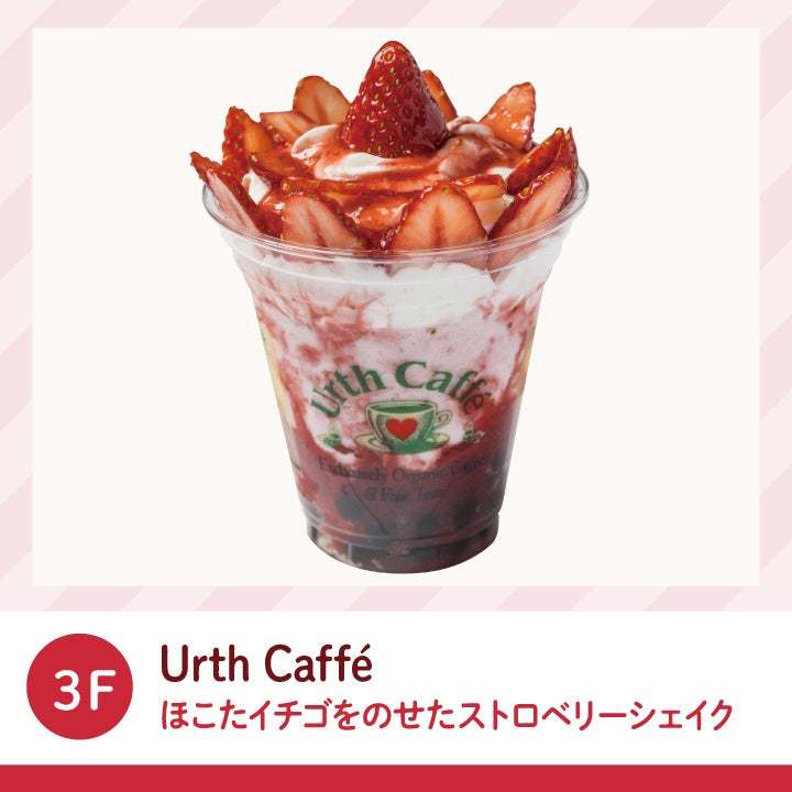 ブランド苺「いばらキッス」の限定メニュー14種が登場！横浜ベイクォーターの「ほこたいちごフェア」2023年3月5日まで開催