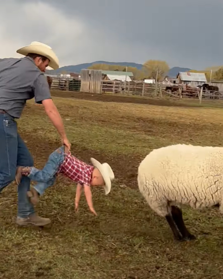 男の子のカウボーイ修行！ヒツジの背中にまたがると・・ヒツジが走り始めた！！【アメリカ・動画】