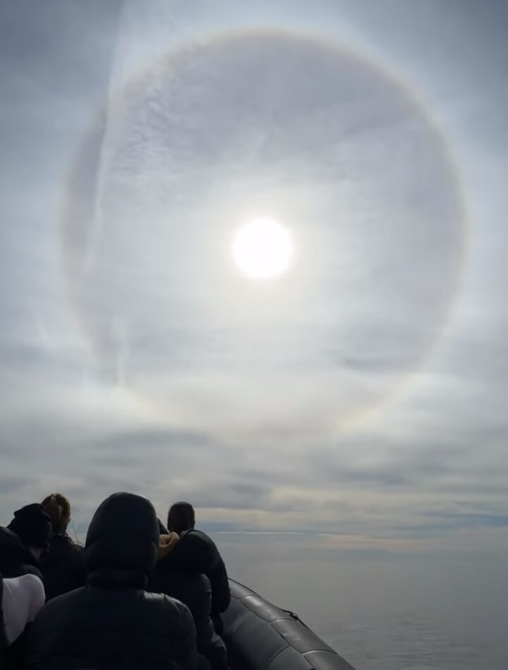 大海原で見た絶景!船の進む先にある太陽に見事な日暈が!!【アメリカ・動画】