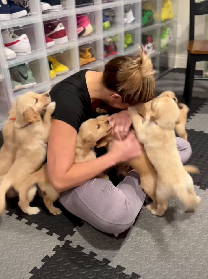 感動の再会！部屋に入ってきたゴールデンレトリバーの子犬たちがまっすぐ向かっていた先には・・！！