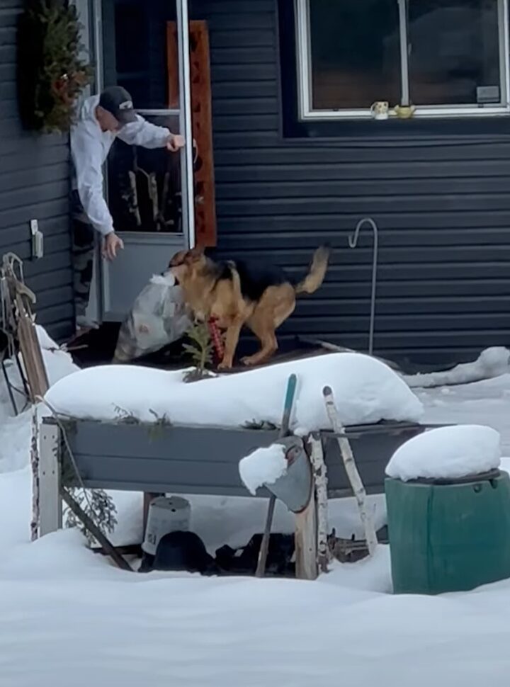 ゴミ出しを手伝ってくれる賢くて優しい愛犬。だけどみんな戸惑いうまさかのハプニングが！！【海外・動画】