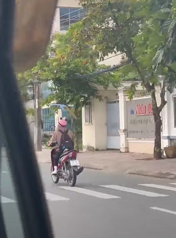 バイクの運転手に執拗に絡んでいるオウム。ヘルメットが気になって仕方がない？？【海外・動画】