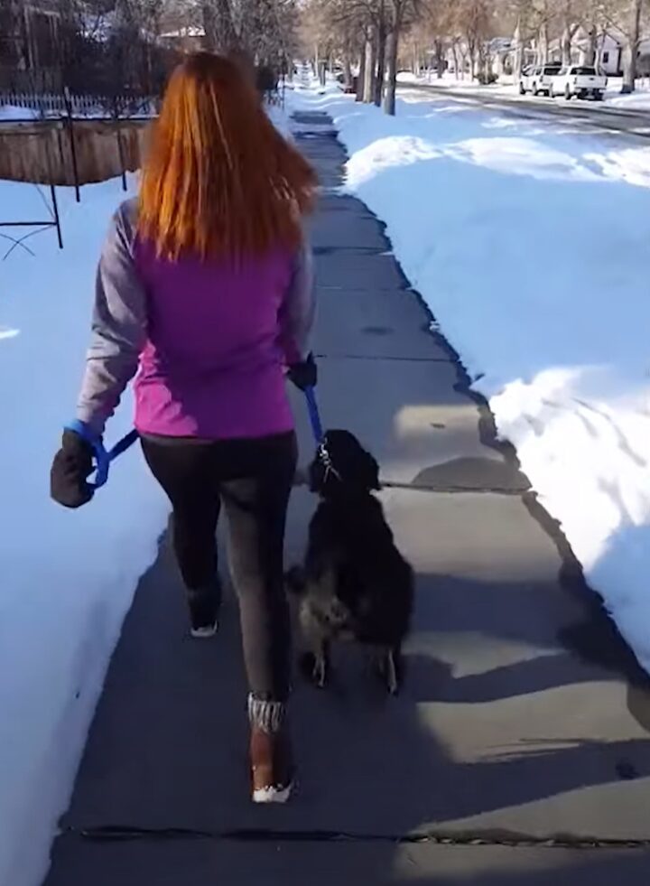 まるでカンガルー？おさんぽ中の愛犬がピョン！もう一度ピョンっとジャンプ！！