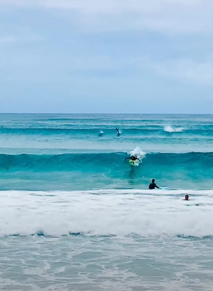 波に乗るのはサーファーだけじゃない！？イルカの群れも波に乗って現れた！！【海外・動画】