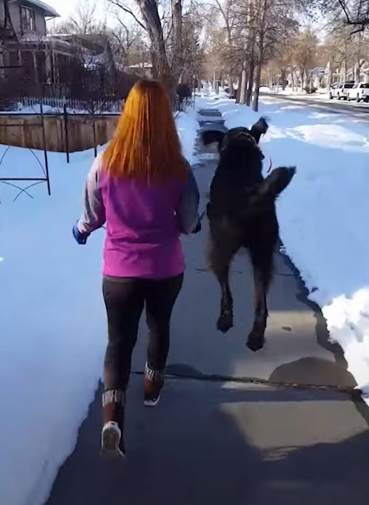 まるでカンガルー？おさんぽ中の愛犬がピョン！もう一度ピョンっとジャンプ！！