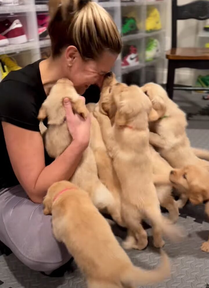 感動の再会！部屋に入ってきたゴールデンレトリバーの子犬たちがまっすぐ向かっていた先には・・！！