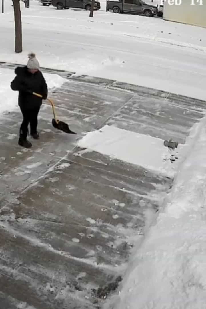 まさにこれから雪かきしようとしていた場所を陣取った犬。冷たい雪の絨毯が気持ちいいのか、すっかりくつろいで動きません