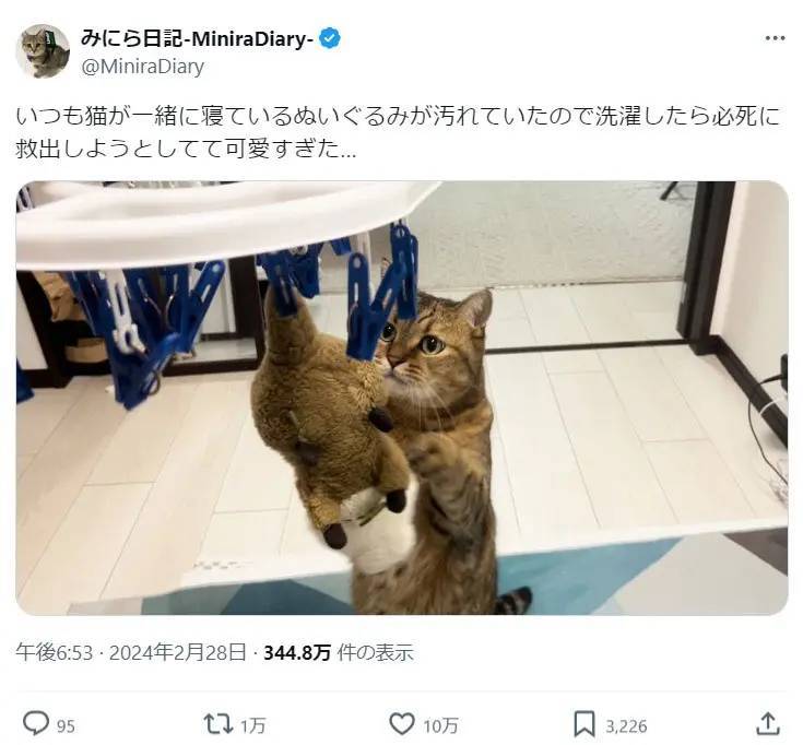 「今助けるからにゃ！」心配顔でぬいぐるみの救出を試みる猫に10万いいね